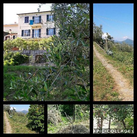 Hotel Rural House Rondini Camposasco Exteriér fotografie